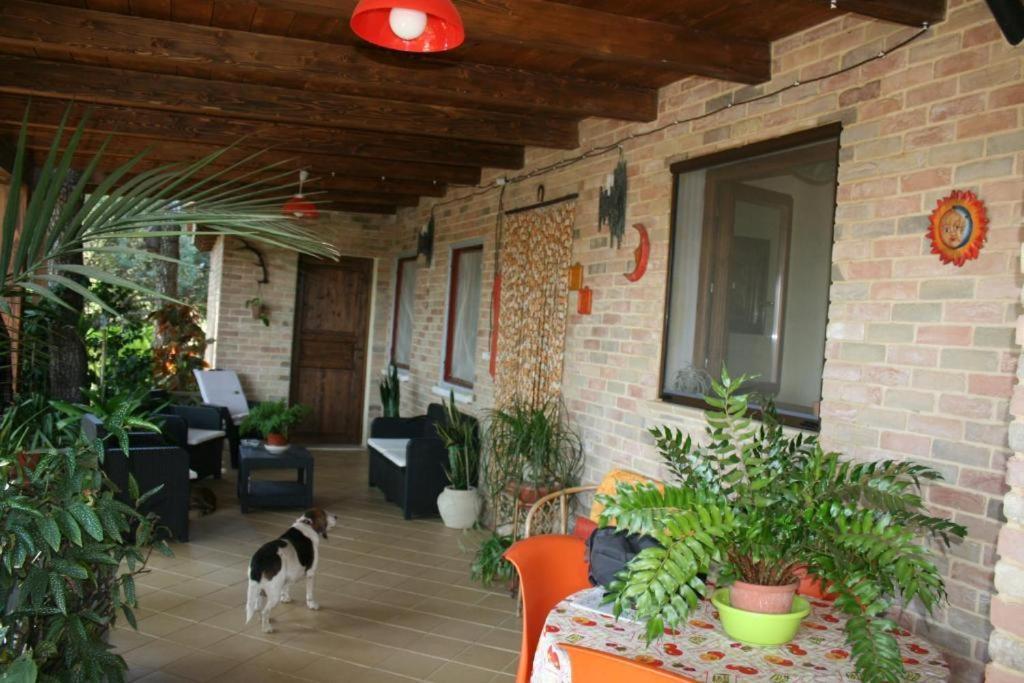 卡斯蒂亚达斯 Casa Campagna酒店 外观 照片